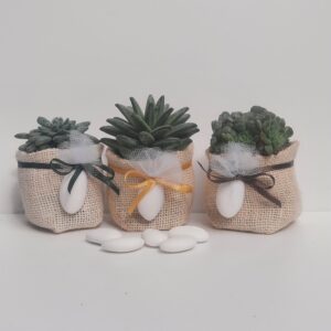 Piantina con portavasetto iuta e confetto